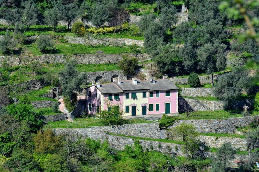 Villa Olivari - Apt Il Melograno Camogli Exterior foto