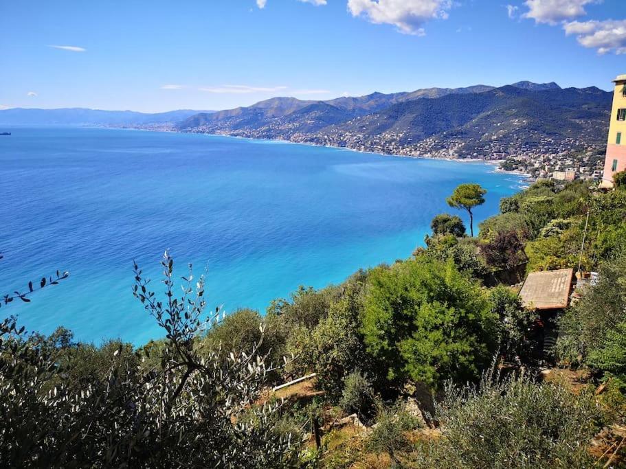 Villa Olivari - Apt Il Melograno Camogli Exterior foto