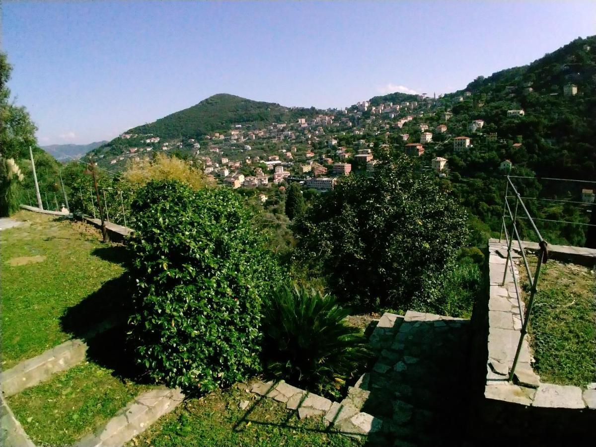 Villa Olivari - Apt Il Melograno Camogli Exterior foto